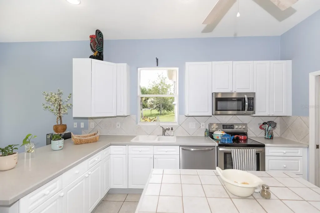 32025 Timberlake Drive Mount Dora FL 32757