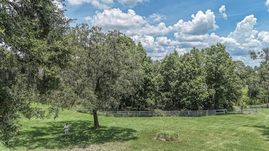 32025 Timberlake Drive Mount Dora FL 32757