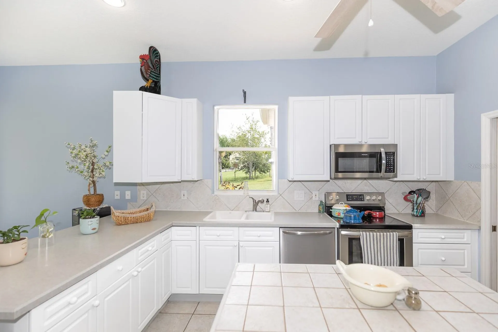 32025 Timberlake Drive Mount Dora FL 32757