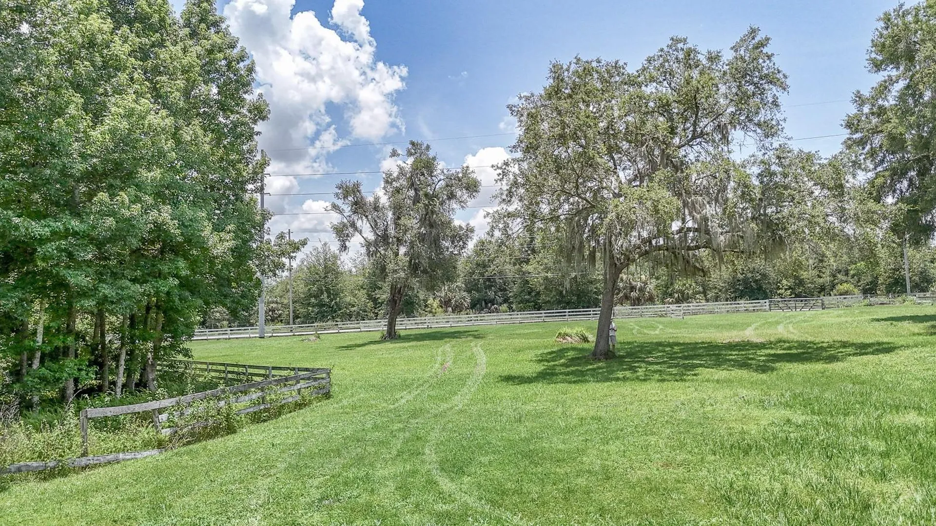 32025 Timberlake Drive Mount Dora FL 32757