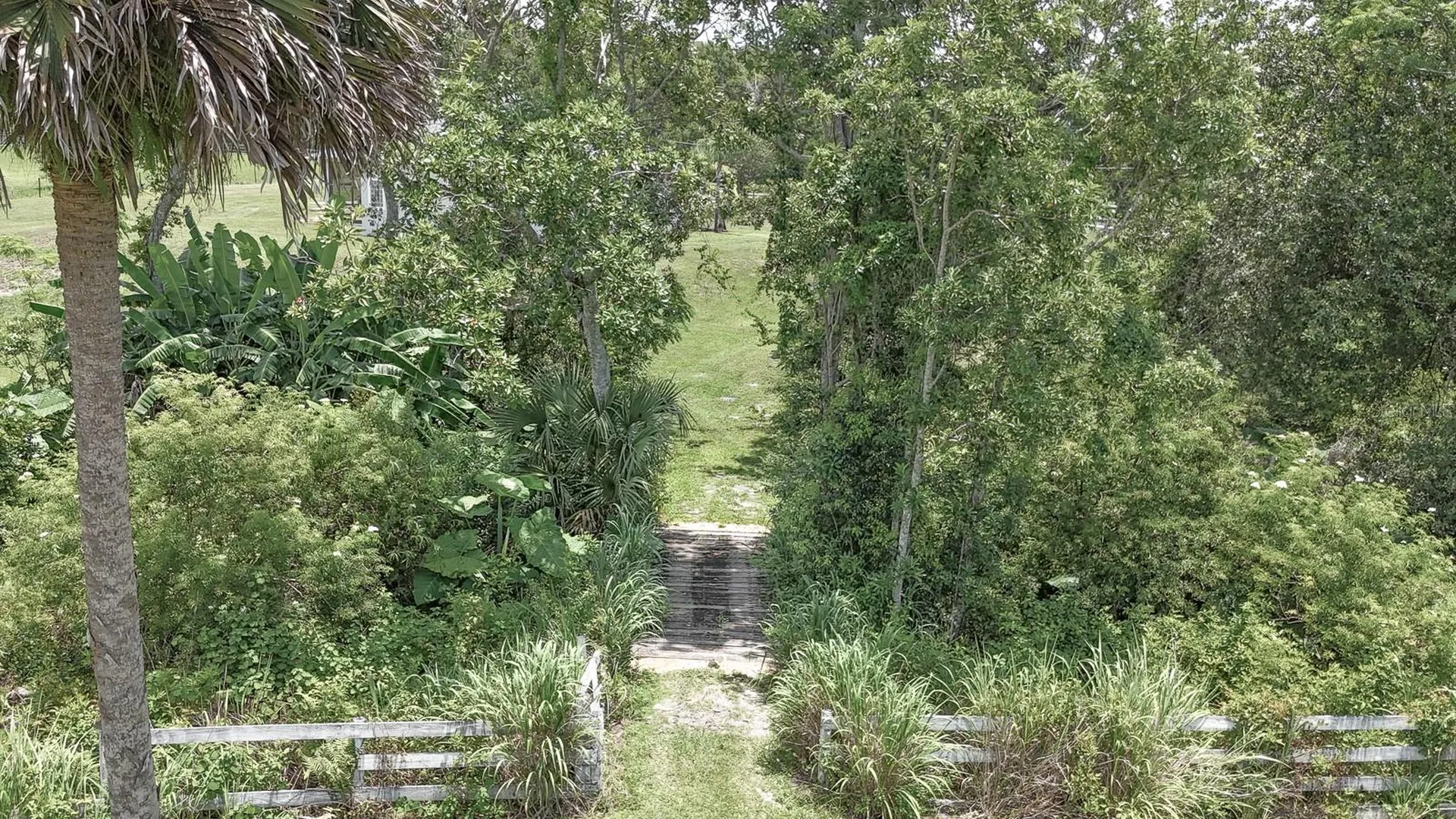 32025 Timberlake Drive Mount Dora FL 32757