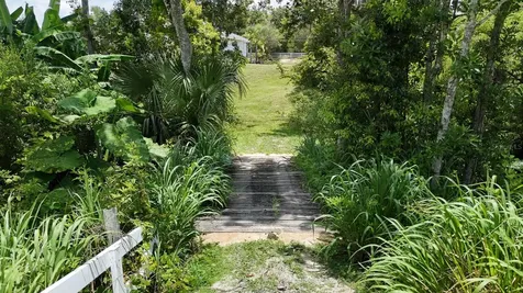 32025 Timberlake Drive Mount Dora FL 32757