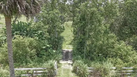 32025 Timberlake Drive Mount Dora FL 32757