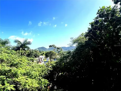 Pr 908 Ausubo Humacao PR 00791