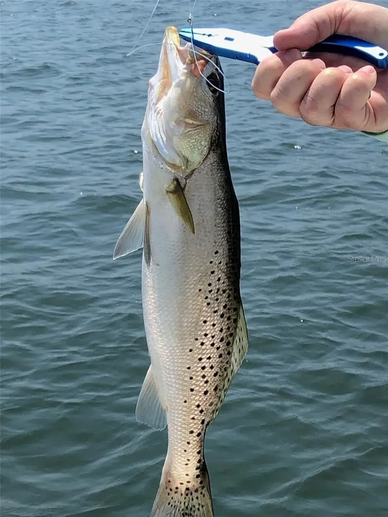 988 Boulevard Of The Arts Sarasota FL 34236