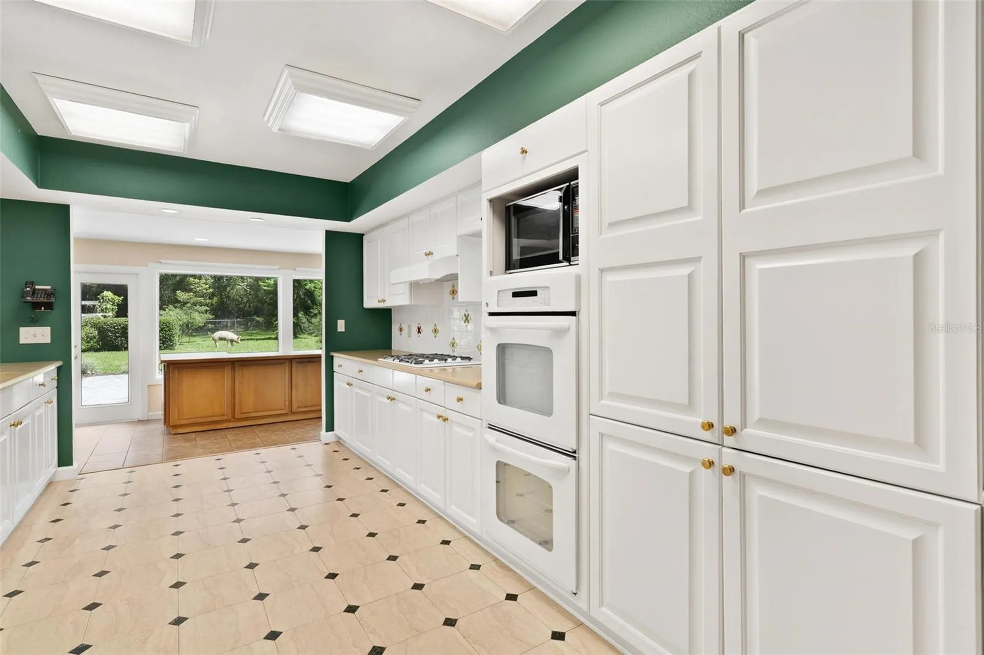 9223 Silver Lake Drive Leesburg FL 34788
