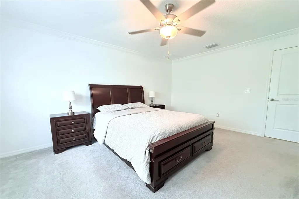 30798 Veridian Way Wesley Chapel FL 33543