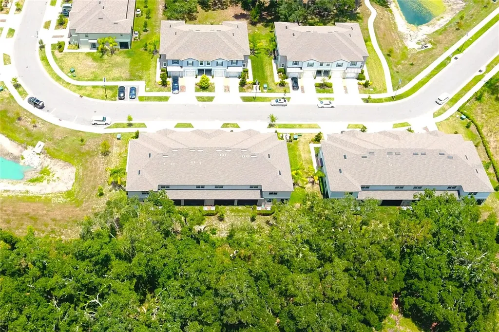 30798 Veridian Way Wesley Chapel FL 33543