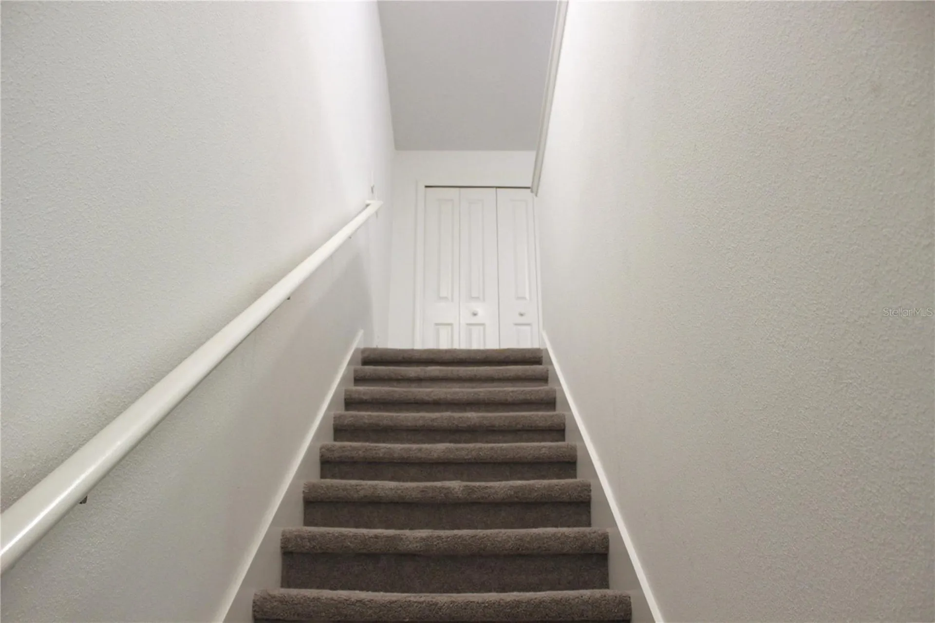 30798 Veridian Way Wesley Chapel FL 33543