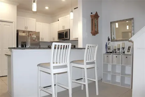 30798 Veridian Way Wesley Chapel FL 33543