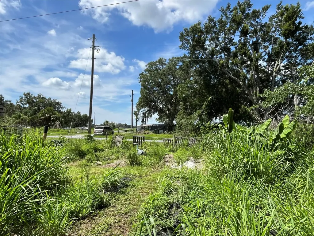 411 Alibrandi Road Leesburg FL 34748