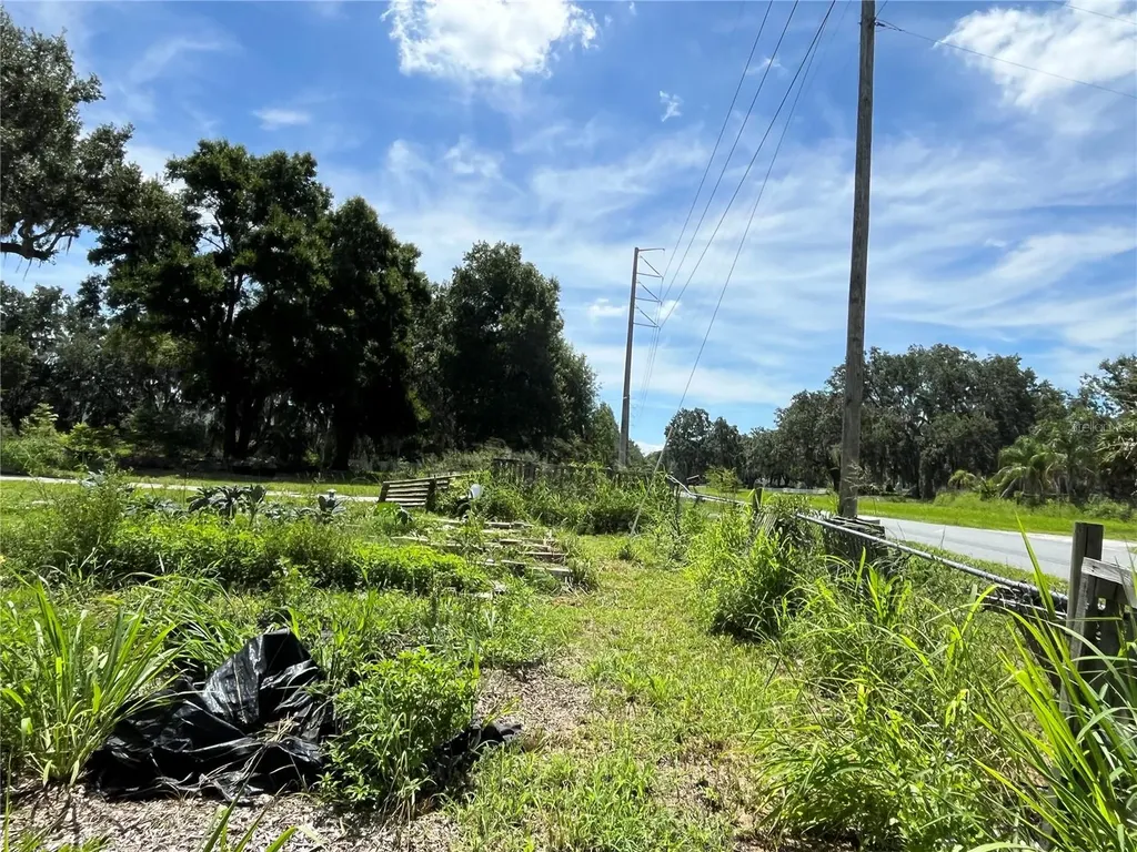 411 Alibrandi Road Leesburg FL 34748