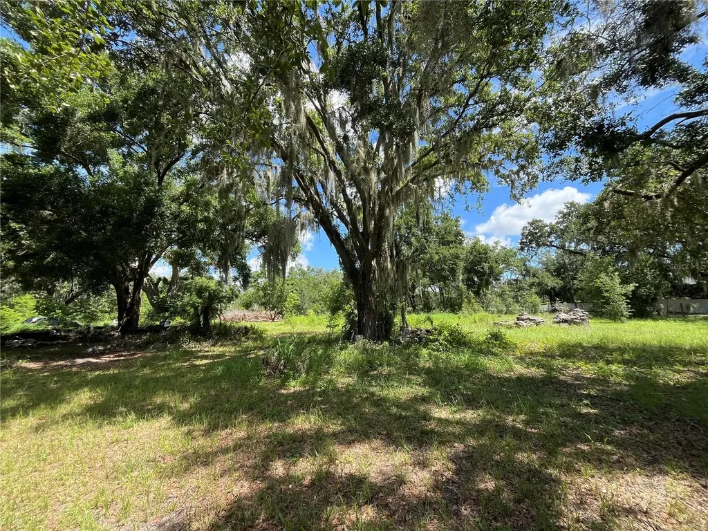 411 Alibrandi Road Leesburg FL 34748