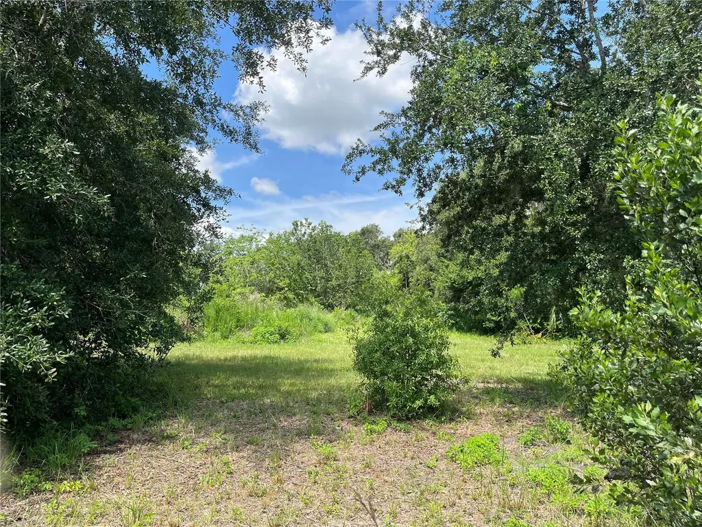 411 Alibrandi Road Leesburg FL 34748