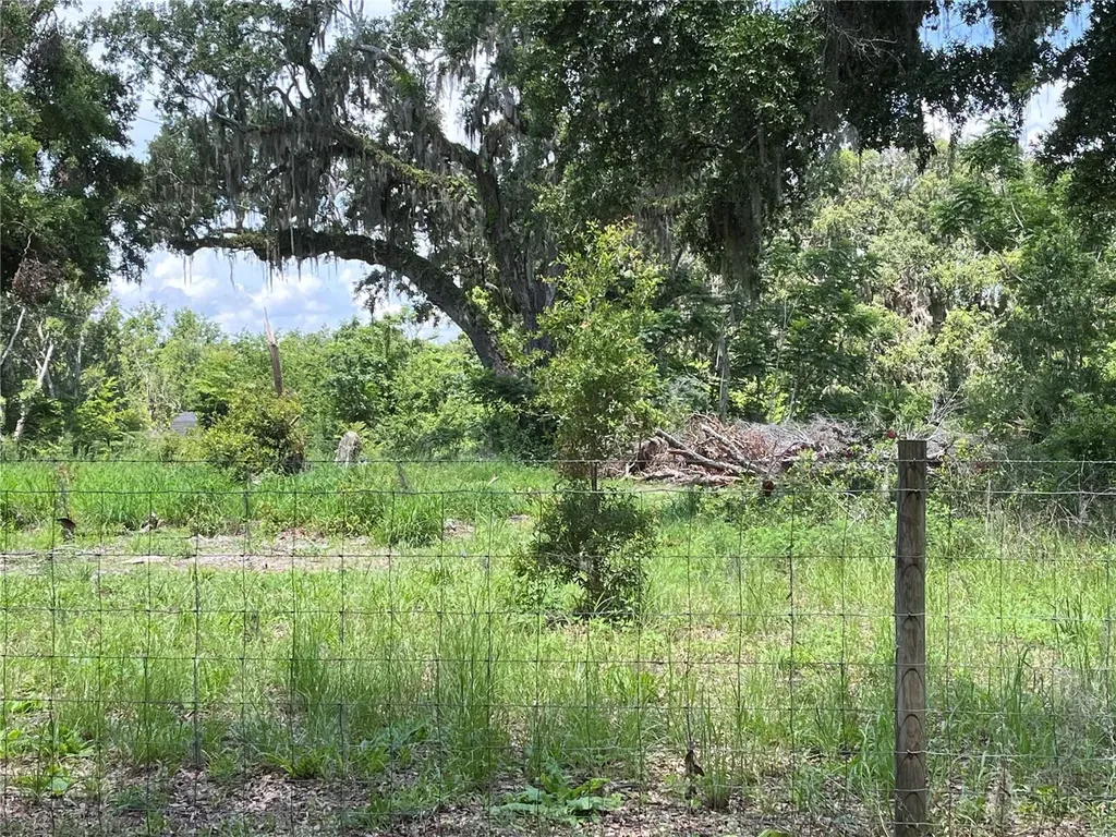 411 Alibrandi Road Leesburg FL 34748