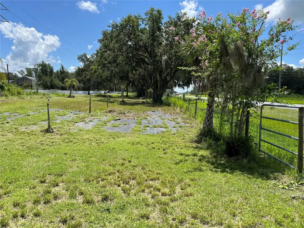 411 Alibrandi Road Leesburg FL 34748