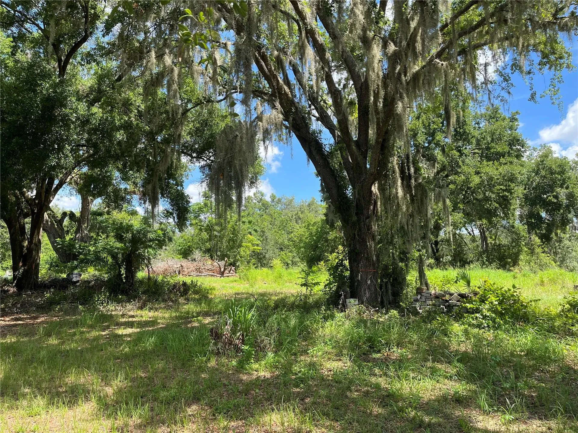411 Alibrandi Road Leesburg FL 34748