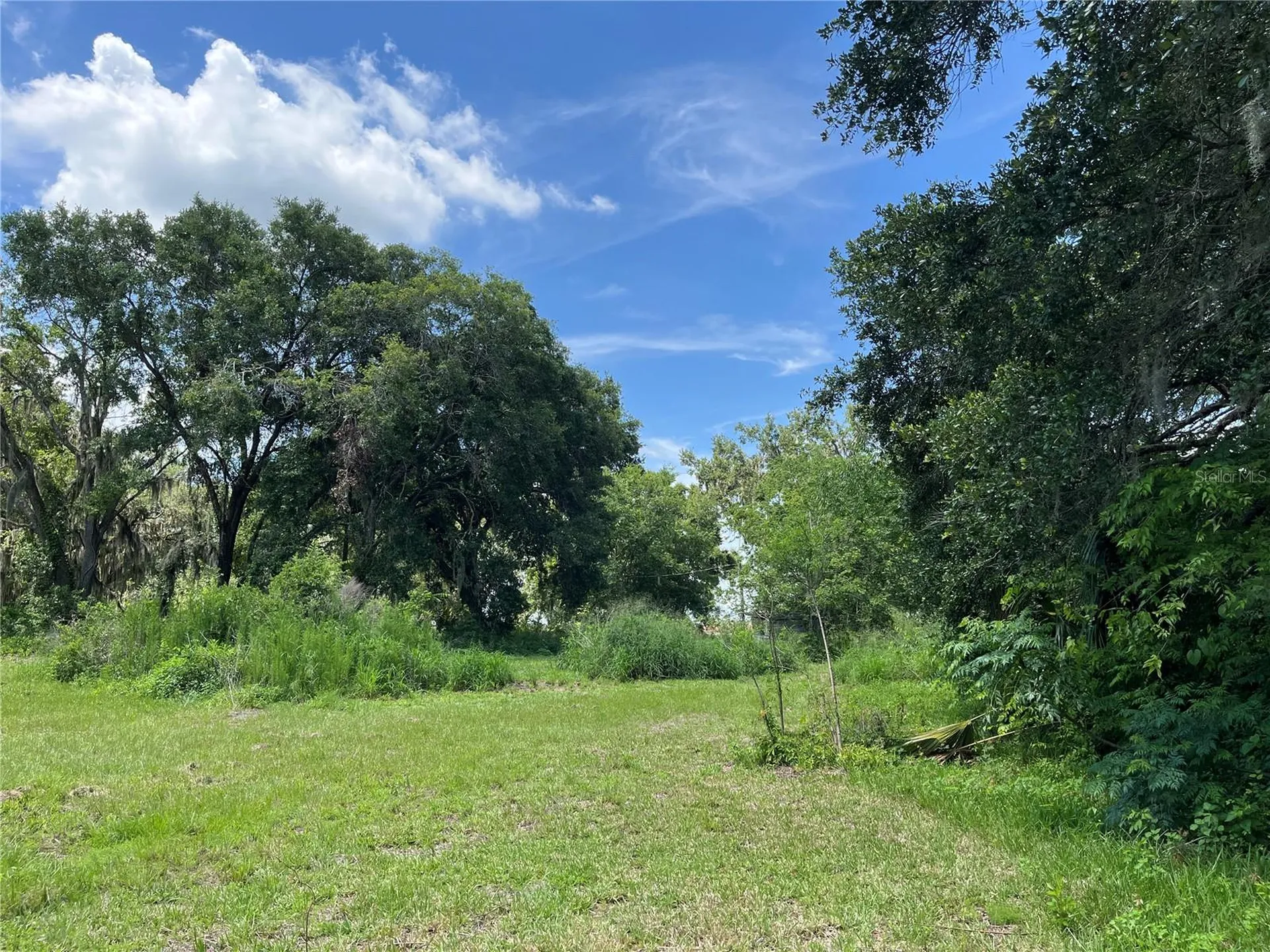 411 Alibrandi Road Leesburg FL 34748