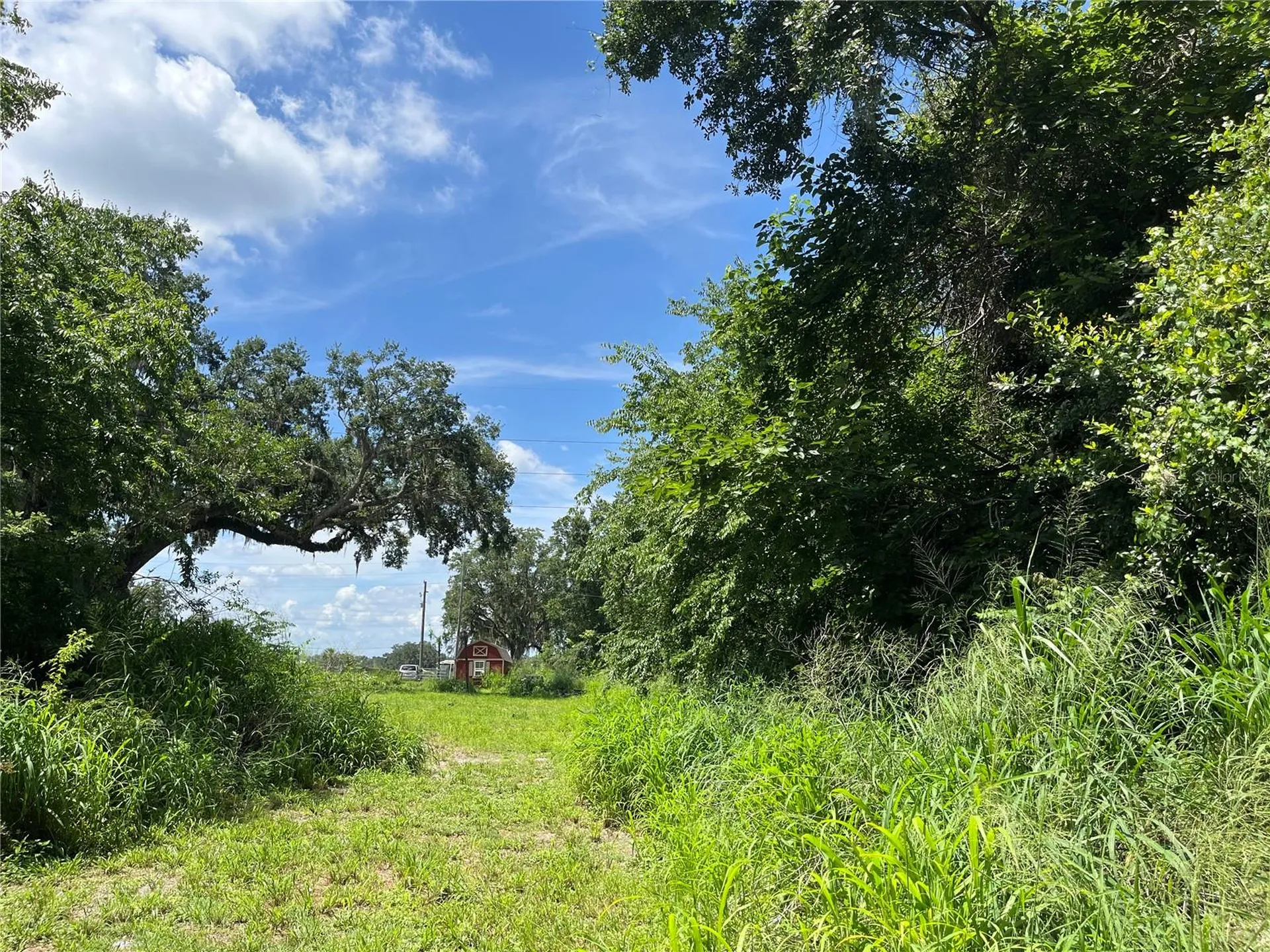 411 Alibrandi Road Leesburg FL 34748