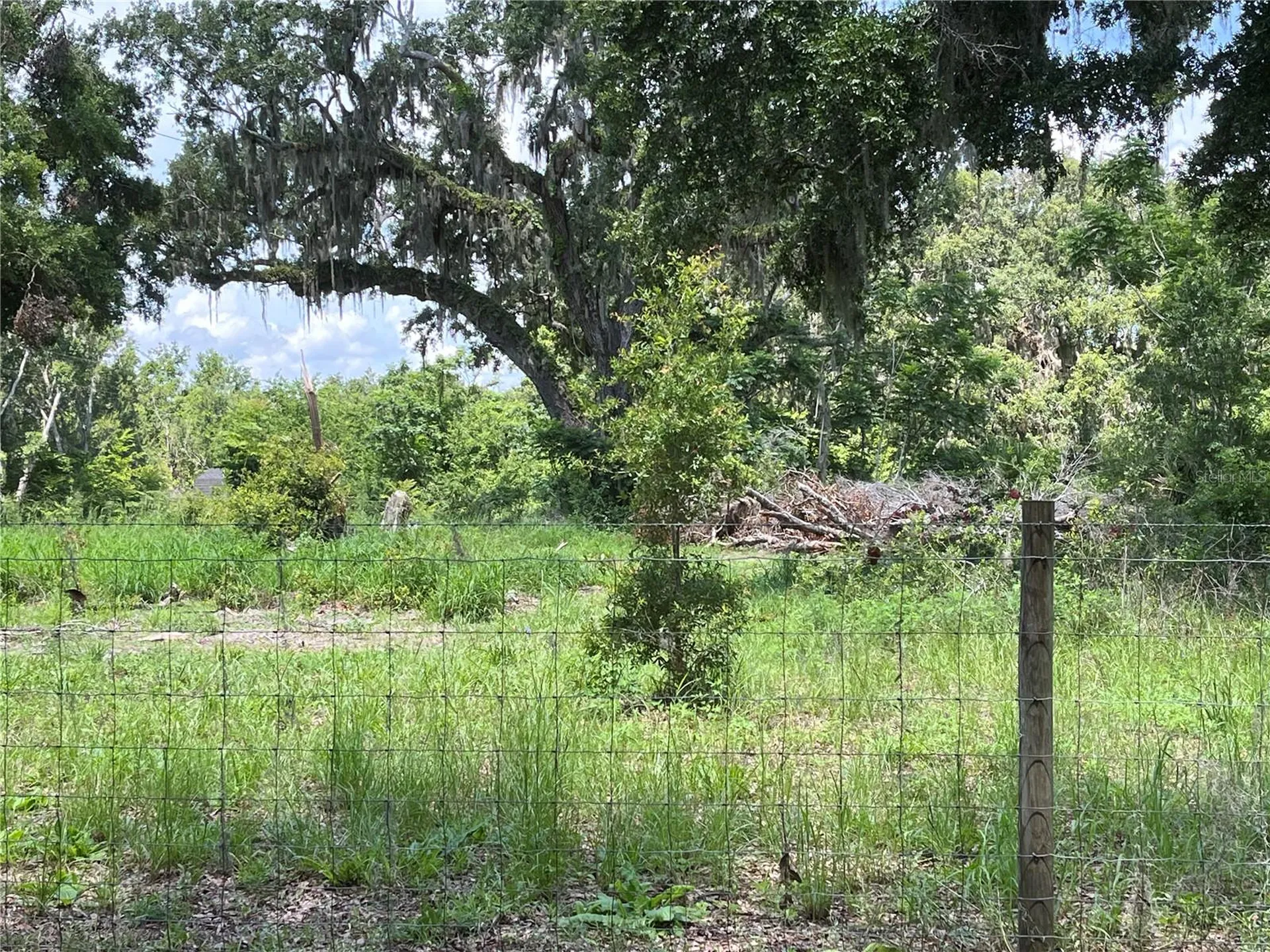 411 Alibrandi Road Leesburg FL 34748