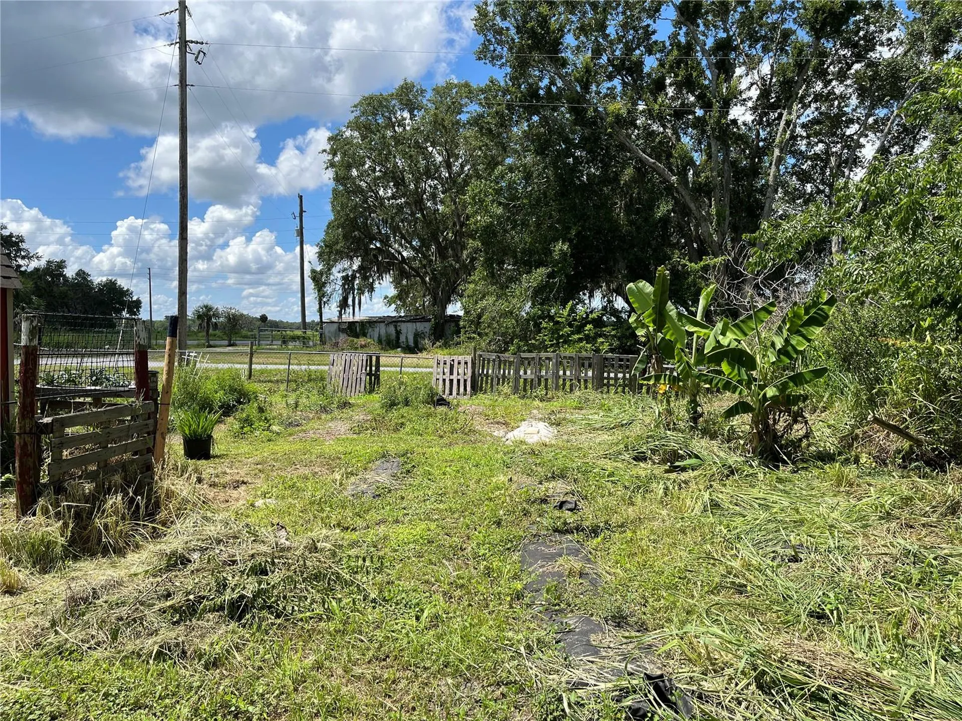 411 Alibrandi Road Leesburg FL 34748
