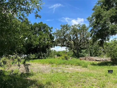 411 Alibrandi Road Leesburg FL 34748