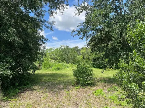411 Alibrandi Road Leesburg FL 34748