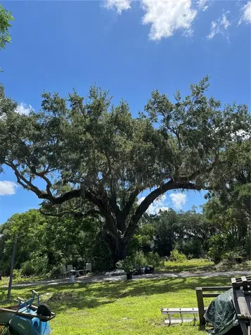 411 Alibrandi Road Leesburg FL 34748