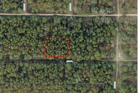 SW 19th Place Ocala FL 34481