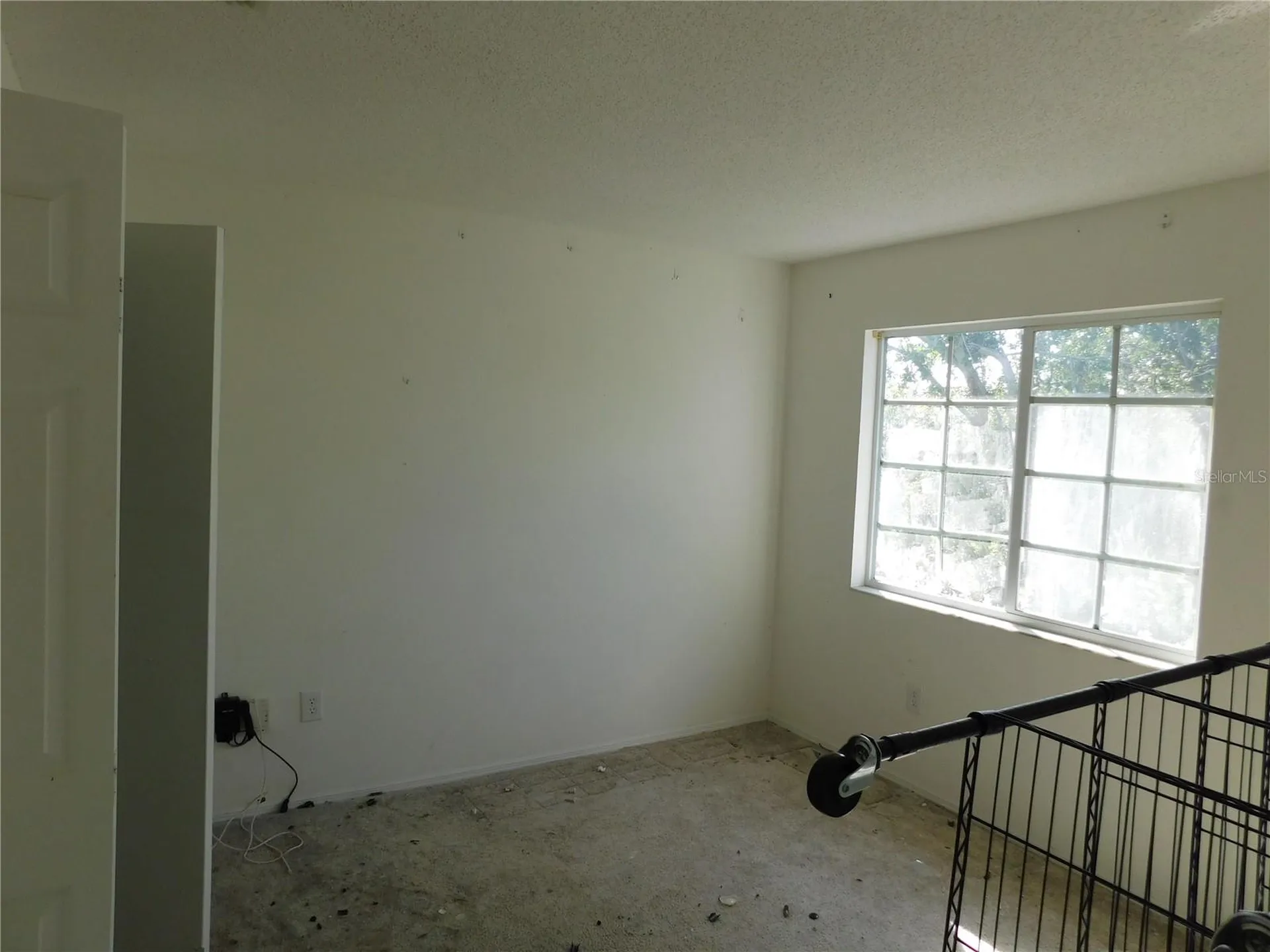 846 Burlwood Street Brandon FL 33511