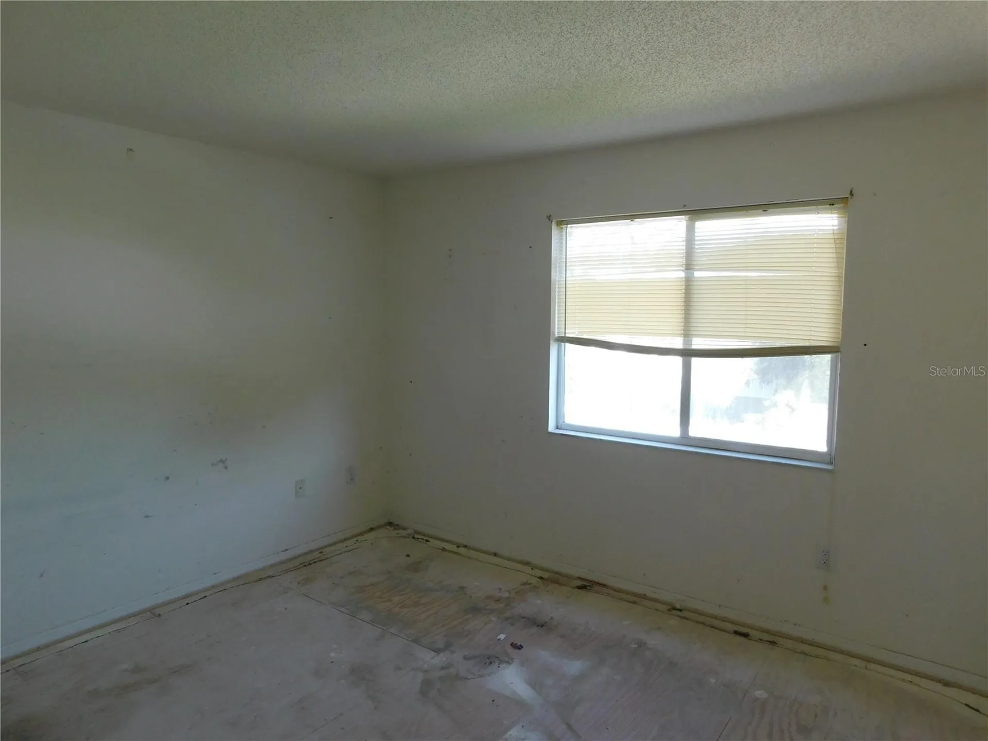 846 Burlwood Street Brandon FL 33511