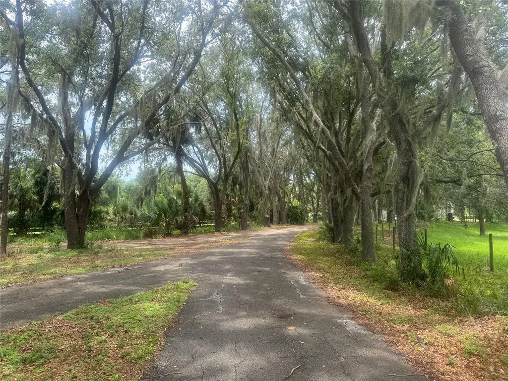 11522 Dead River Road Tavares FL 32778