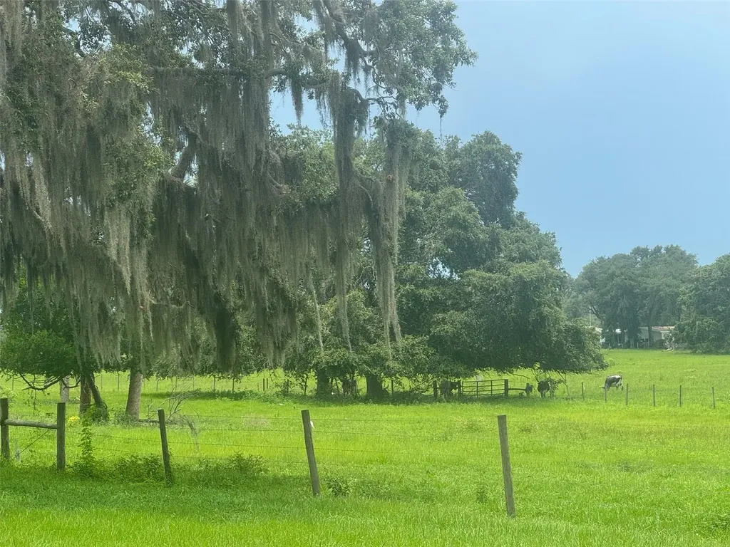 11522 Dead River Road Tavares FL 32778