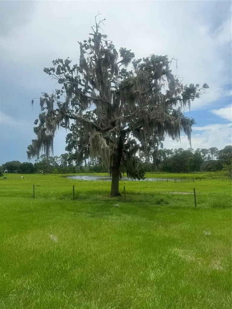 11522 Dead River Road Tavares FL 32778
