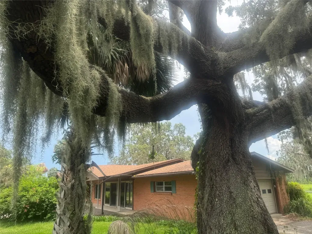 11522 Dead River Road Tavares FL 32778