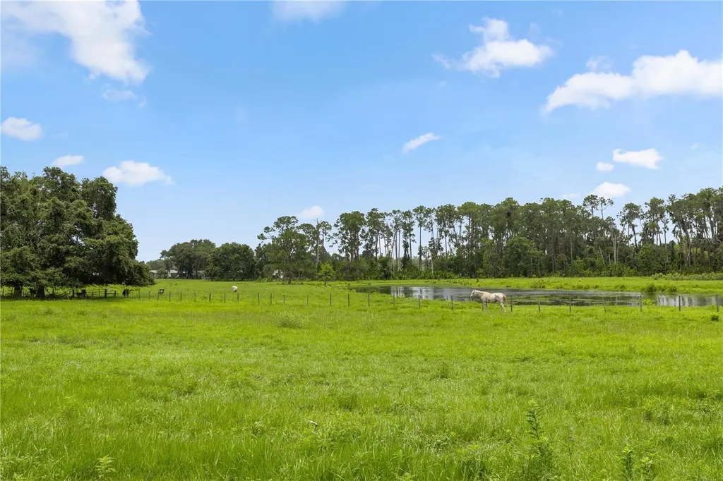 11522 Dead River Road Tavares FL 32778