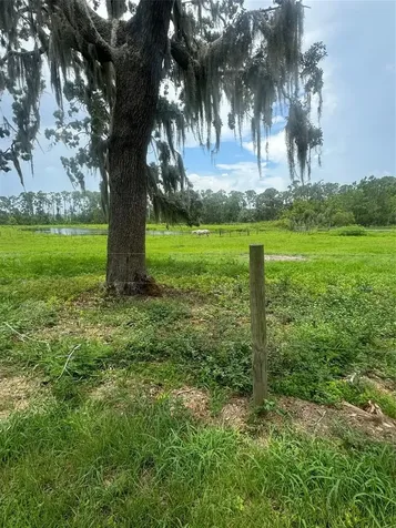 11522 Dead River Road Tavares FL 32778