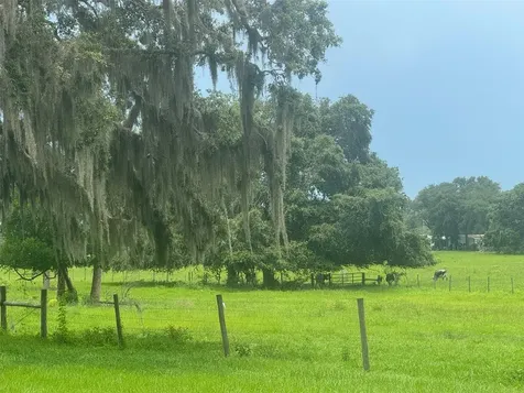 11522 Dead River Road Tavares FL 32778