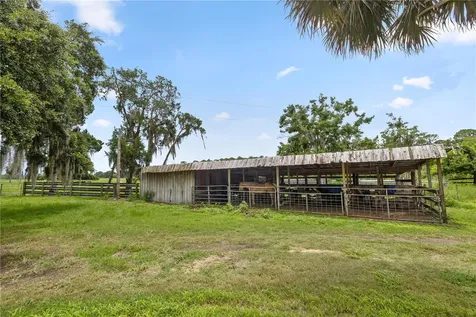 11522 Dead River Road Tavares FL 32778