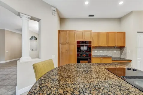 1353 El Pardo Drive Trinity FL 34655