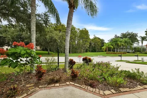 1353 El Pardo Drive Trinity FL 34655