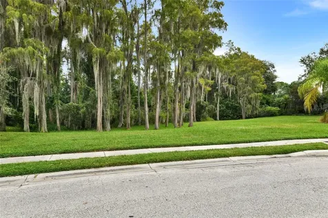 1353 El Pardo Drive Trinity FL 34655