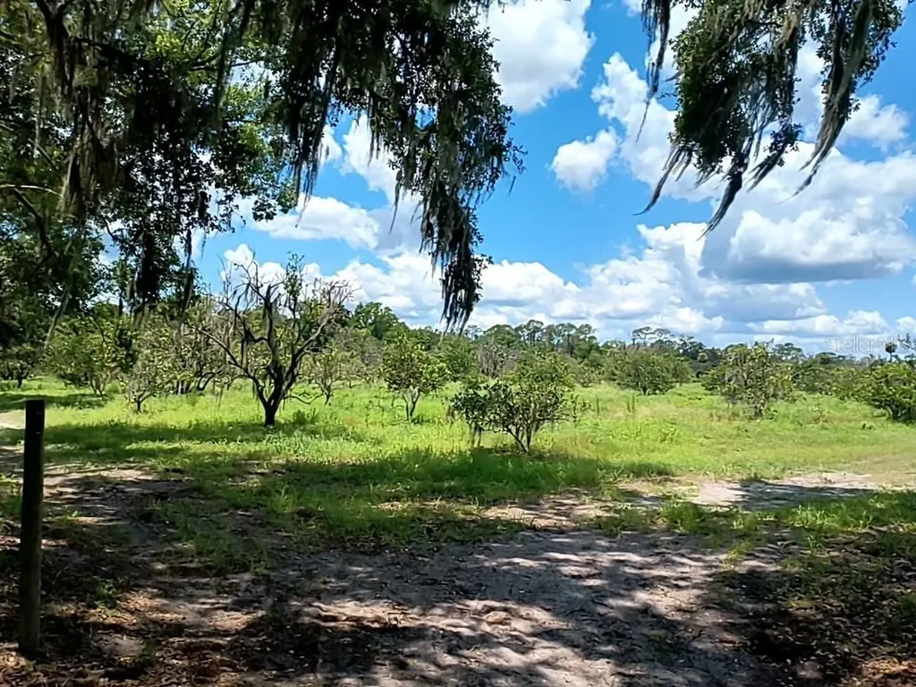 No Street De Leon Springs FL 32130