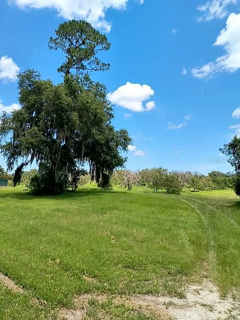 No Street De Leon Springs FL 32130