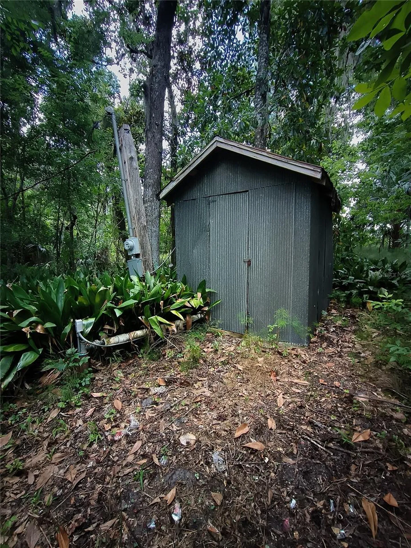 No Street De Leon Springs FL 32130