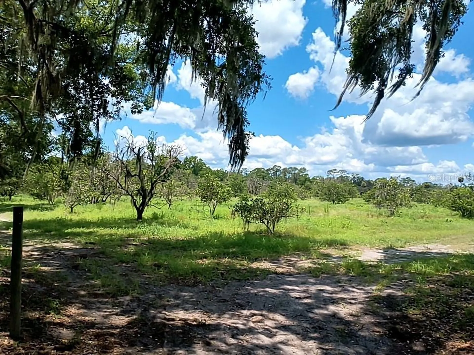 No Street De Leon Springs FL 32130