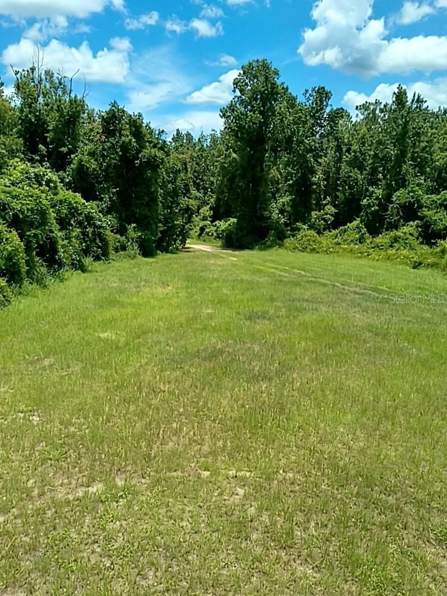No Street De Leon Springs FL 32130
