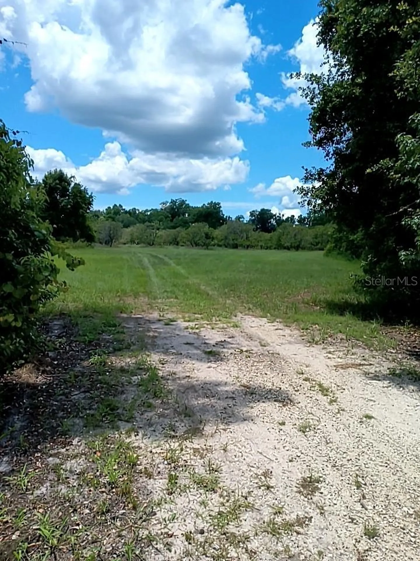 No Street De Leon Springs FL 32130