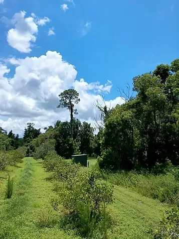 No Street De Leon Springs FL 32130