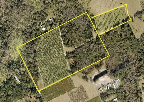No Street De Leon Springs FL 32130